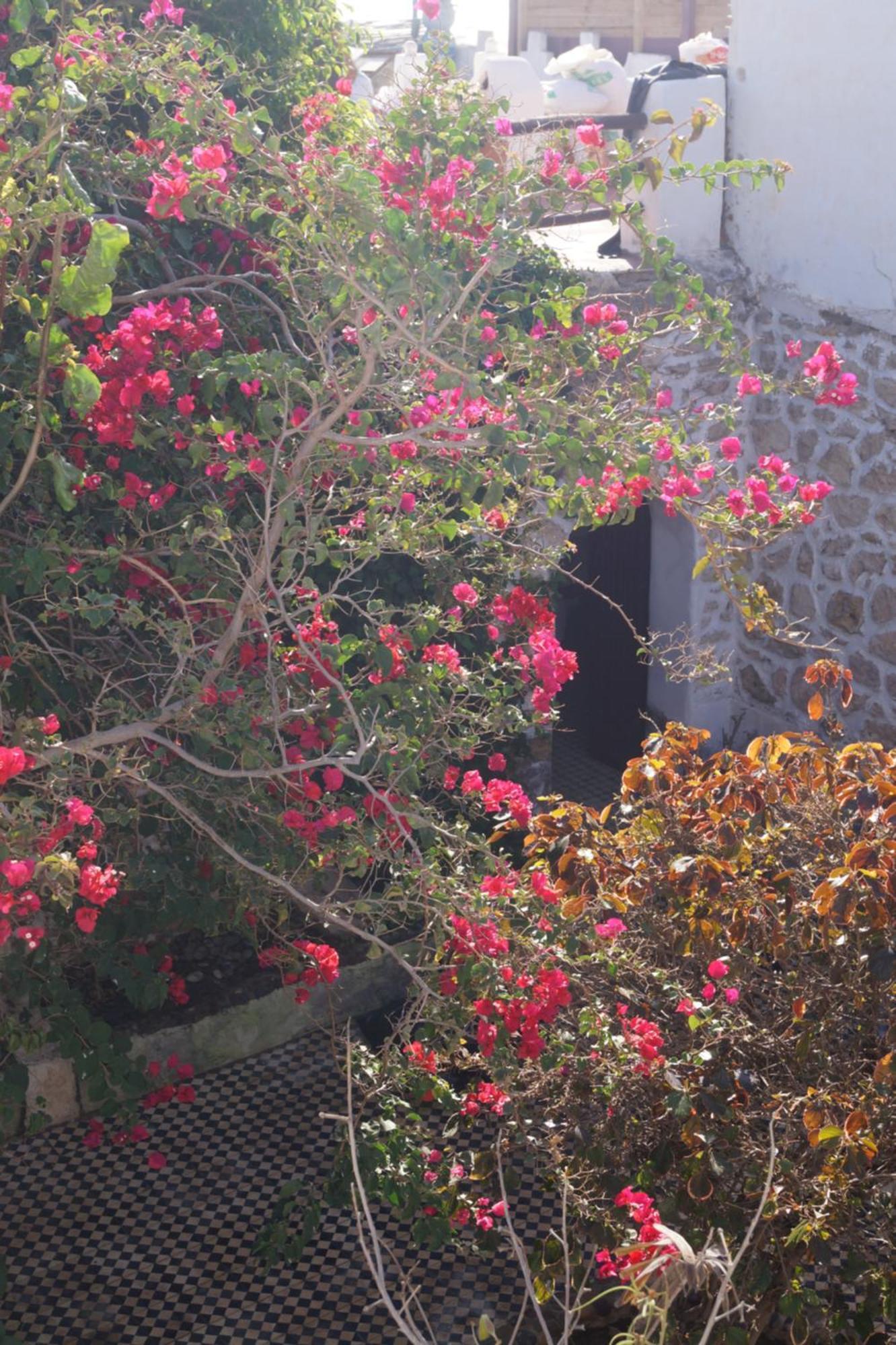 Sidi Kaouki Perla Hotel Bagian luar foto