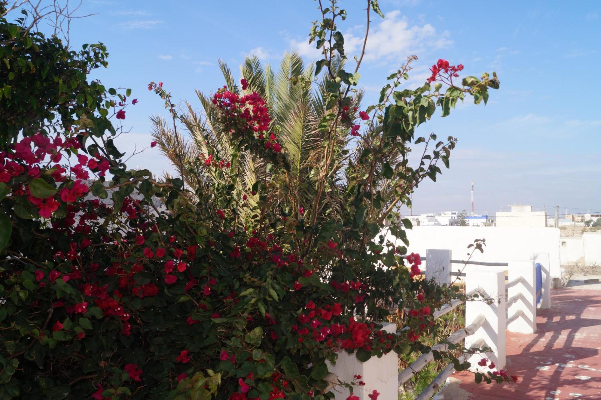 Sidi Kaouki Perla Hotel Bagian luar foto