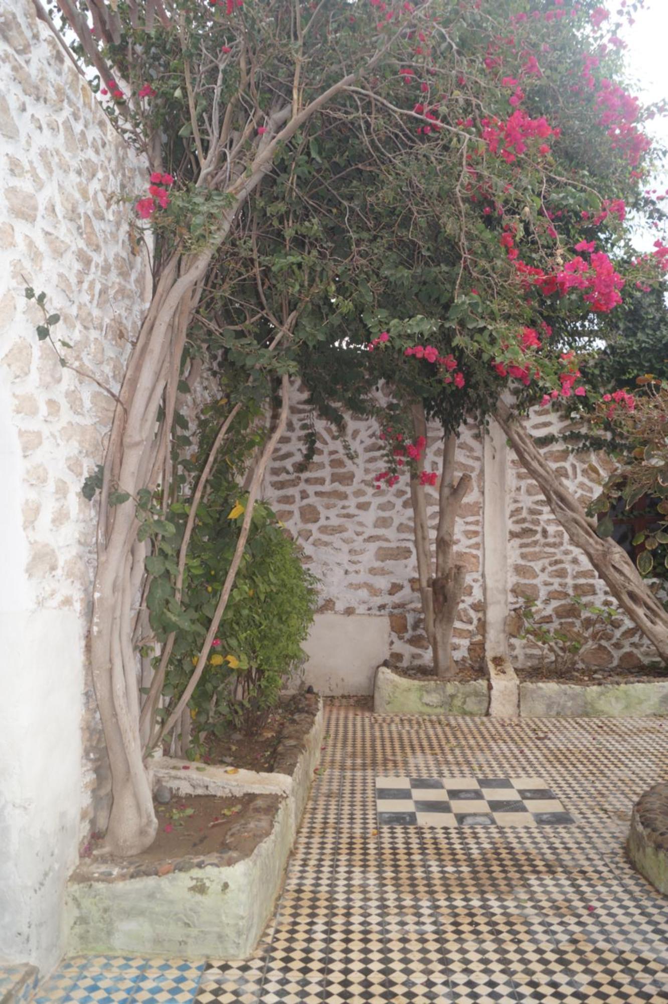 Sidi Kaouki Perla Hotel Bagian luar foto
