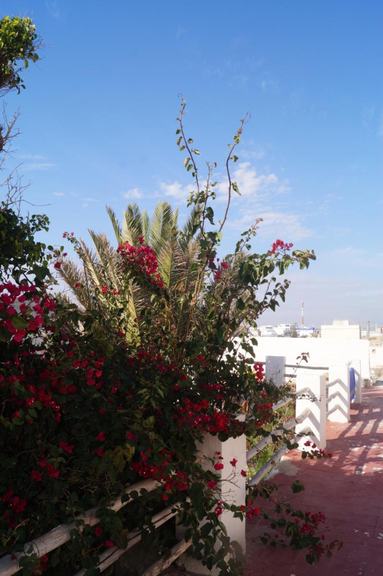 Sidi Kaouki Perla Hotel Bagian luar foto