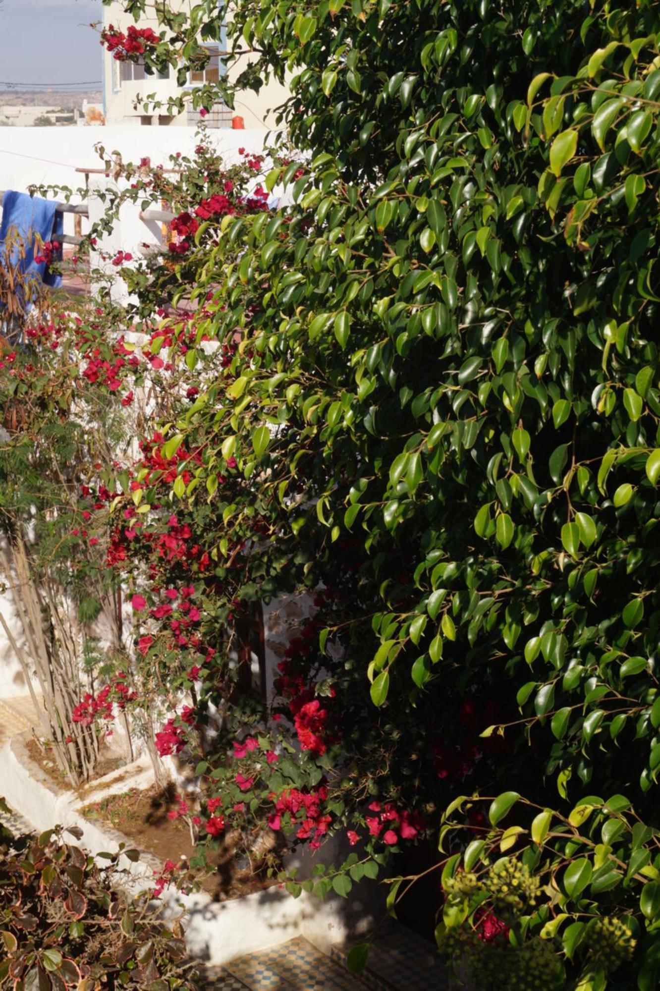 Sidi Kaouki Perla Hotel Bagian luar foto